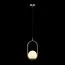 LOFT IT LOFT2595-B Подвесной светильник Glob, изображение 2