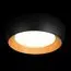 LOFT IT 10255/500 Black Потолочный светильник Folk, изображение 2