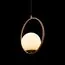 LOFT IT LOFT2600-A Подвесной светильник Glob, изображение 3