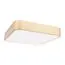 LOFT IT 10228/C Потолочный светильник Flims, изображение 3