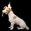 LOFT IT 10312 Grey Настольная лампа Dog, изображение 6