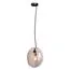 LOFT IT 10293 Clear Подвесной светильник Gallo, изображение 3