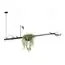 LOFT IT 10121/C Подвесной светильник Jardin, изображение 3