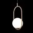 LOFT IT LOFT2595-A Подвесной светильник Glob, изображение 4