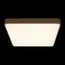 LOFT IT 10228/D Потолочный светильник Flims, изображение 6