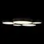 LOFT IT 10218 Black Потолочный светильник Drum, изображение 2