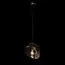 LOFT IT 10293 Clear Подвесной светильник Gallo, изображение 2