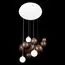 LOFT IT 10161 Dark wood Подвесной светильник Ginger, изображение 4