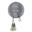 LOFT IT 10178 Grey Настенный светильник Gorilla, изображение 3