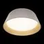 LOFT IT 10224 White Потолочный светильник Evans, изображение 4