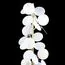 LOFT IT 10008F white Торшер Matisse, изображение 6