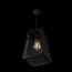 LOFT IT LOFT1127 Подвесной светильник Modern filament, изображение 4
