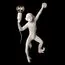 LOFT IT 10314W/A Настенный светильник Monkey, изображение 2