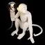 LOFT IT 10314T/A Настольная лампа Monkey, изображение 6