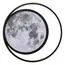 LOFT IT 10217 Потолочный светильник Luna, изображение 5