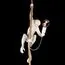 LOFT IT 10314P Подвесной светильник Monkey, изображение 2