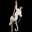 LOFT IT 10314P Подвесной светильник Monkey, изображение 6