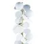 LOFT IT 10008F white Торшер Matisse, изображение 5