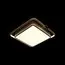 LOFT IT 10171 Потолочный светильник Mike, изображение 2