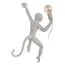 LOFT IT 10314W/A Настенный светильник Monkey, изображение 5