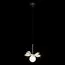 LOFT IT 10213/B White Подвесной светильник Monro, изображение 2