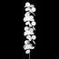 LOFT IT 10008F white Торшер Matisse, изображение 4