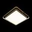 LOFT IT 10172 Потолочный светильник Mike, изображение 2