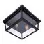 LOFT IT LOFT3110-2C Потолочный светильник Modern filament, изображение 2