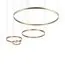 LOFT IT 10017/4M Подвесной светильник Ring, изображение 3