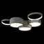 LOFT IT 10317/5 Grey Потолочный светильник Pin, изображение 2