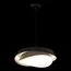 LOFT IT 10256P Black Подвесной светильник Petale, изображение 4