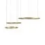 LOFT IT 10017/3S Подвесной светильник Ring, изображение 4