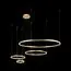 LOFT IT 10017/4M Подвесной светильник Ring, изображение 2
