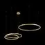 LOFT IT 10017/3M Подвесной светильник Ring, изображение 2