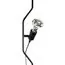 LOFT IT 10346/1 Black Подвесной светильник Parentesi, изображение 5