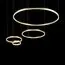 LOFT IT 10017/4M Подвесной светильник Ring, изображение 4