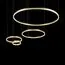 LOFT IT 10017/4S Подвесной светильник Ring, изображение 4