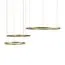 LOFT IT 10017/3M Подвесной светильник Ring, изображение 4