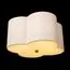 LOFT IT 10303 Brass Потолочный светильник Silence, изображение 4
