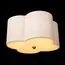 LOFT IT 10303 Nickel Потолочный светильник Silence, изображение 4