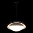 LOFT IT 10256P Black Подвесной светильник Petale, изображение 6