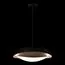 LOFT IT 10256P Black Подвесной светильник Petale, изображение 10