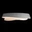 LOFT IT 10256 White Потолочный светильник Petale, изображение 6