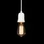 LOFT IT 10091 Подвесной светильник Sherwood, изображение 4