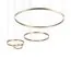 LOFT IT 10017/4S Подвесной светильник Ring, изображение 3