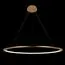 LOFT IT 10014L Подвесной светильник Ring, изображение 4