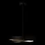 LOFT IT 10256P Black Подвесной светильник Petale, изображение 8