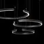 LOFT IT 10025/3 Black Подвесной светильник Ring, изображение 4