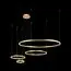 LOFT IT 10017/4S Подвесной светильник Ring, изображение 2