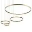 LOFT IT 10017/4L Подвесной светильник Ring, изображение 3